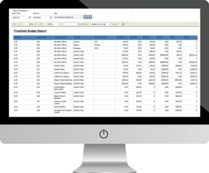 Workforce Management Reporting and Analytics-Time Sheet Budget Report
